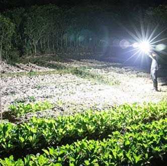 Emergency survival LED Flashlight
